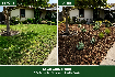 Lawn To Mulch Conversion detail view