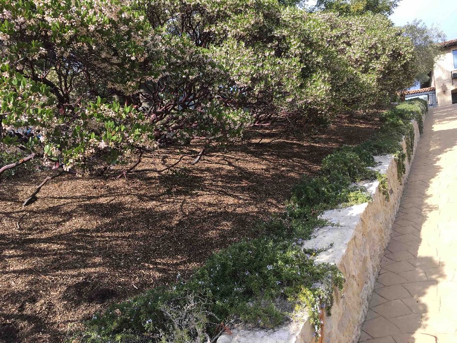 Up to 10 Cubic yards Delivered & Installed - Premium Mulch Redwood City