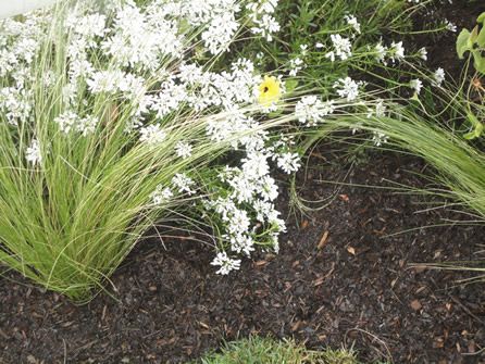 3 Cubic Yards Delivery Only - Premium Mulch Redwood City